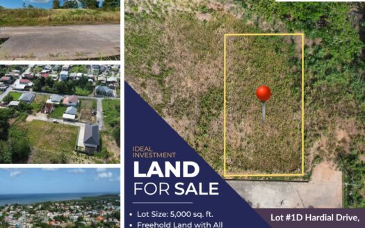 Freehold Land for Sale