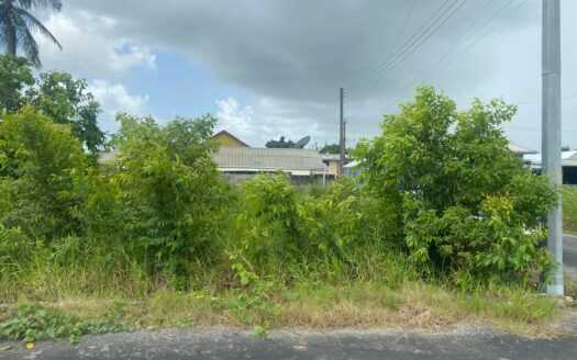 Two lots for sale at St. Helena