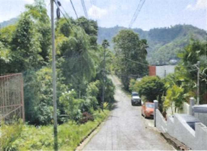 video image