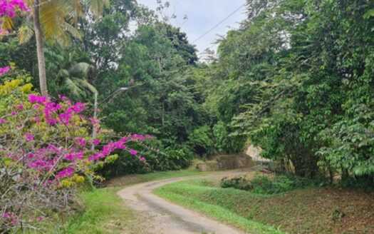 5-acres for sale in Balandra