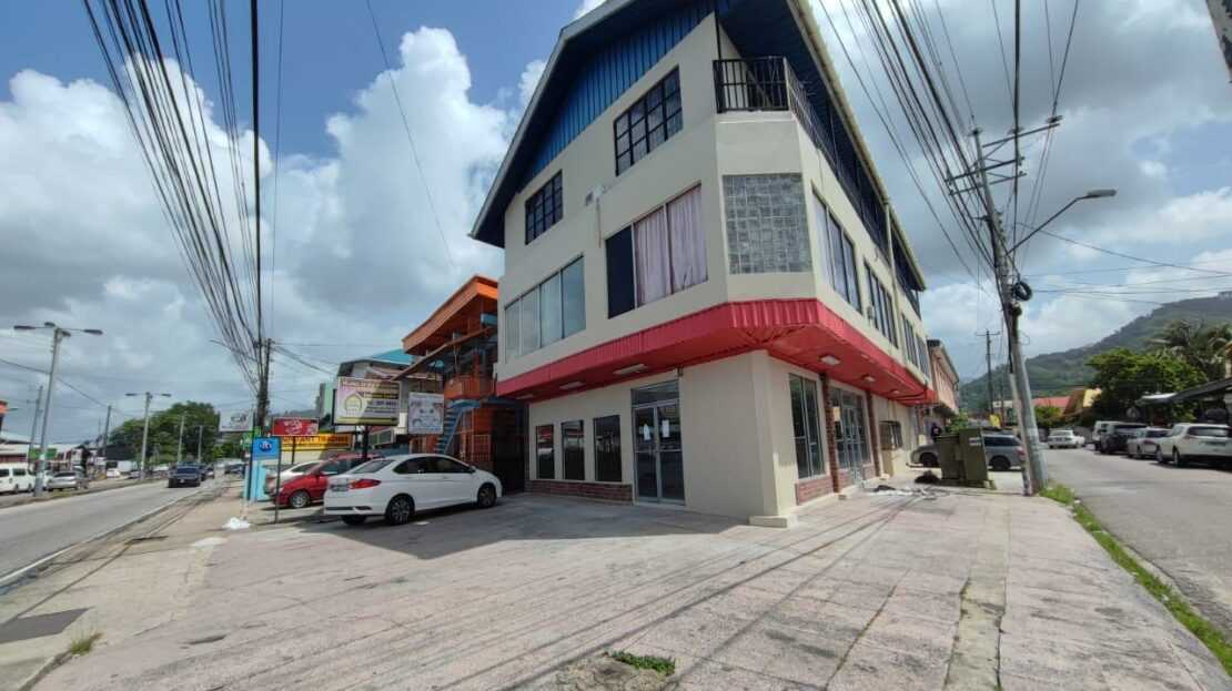video image
