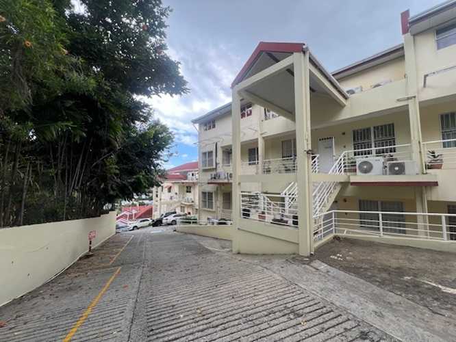 video image