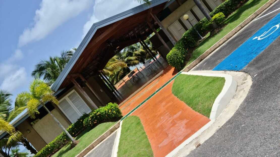 video image
