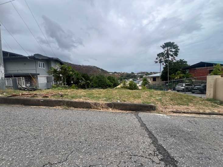 video image