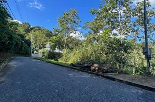 Plot at Hillsboro, Trinidad