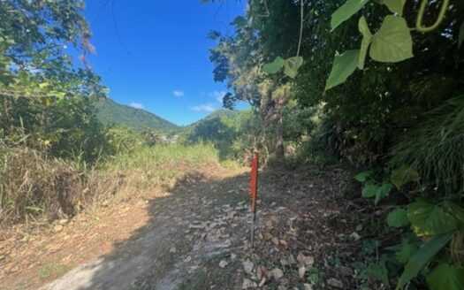 Plot  at Hillsboro, Trinidad