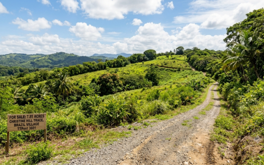 Acreage for sale at Brazil, Trinidad