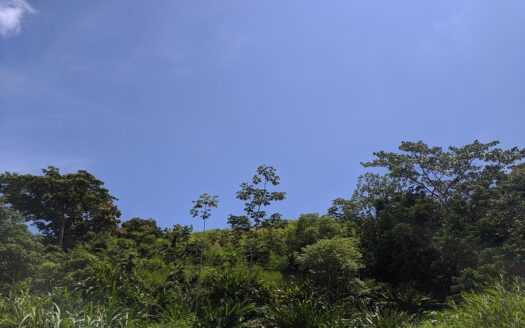 Plot for sale at Plymouth, Tobago
